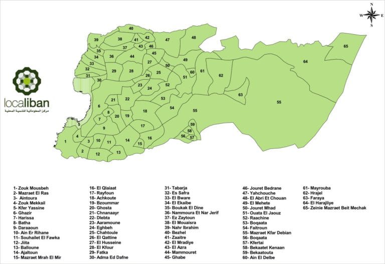 CARTE liban